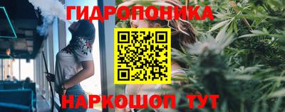 прущие крисы Коммунар