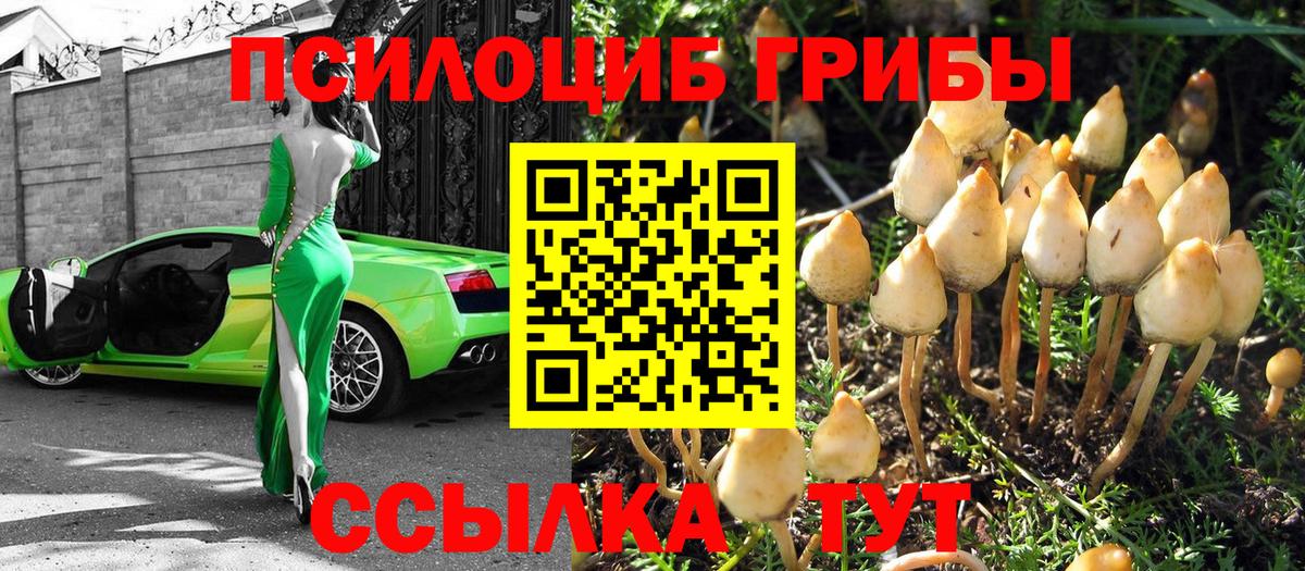 Ярославль  Галлюциногенные грибы MAGIC MUSHROOMS  Вход с VPN  Галлюциногенные грибы Psilocybe 