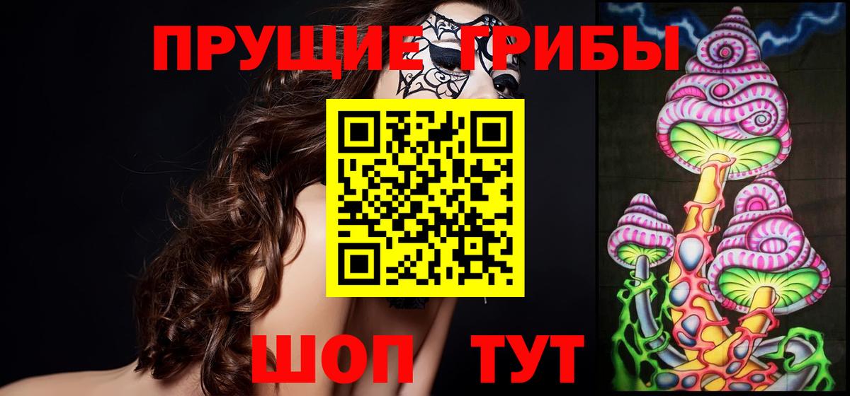Псилоцибиновые грибы Psilocybe Ярославль